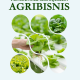 PENGANTAR MANAJEMEN AGRIBISNIS